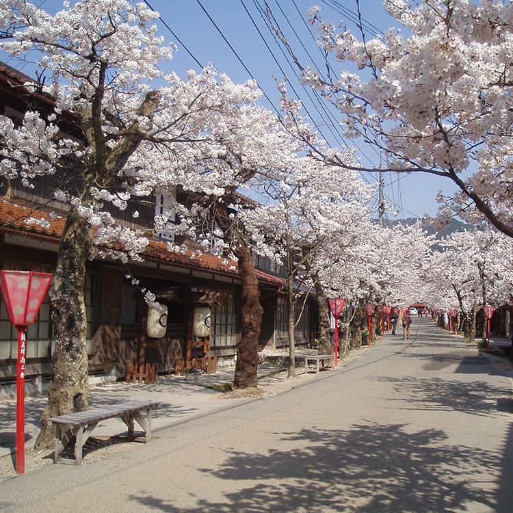 Village de Shinjo